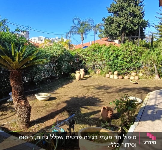 עציצים, צינור השקיה, צמחים ושתילים בגינה